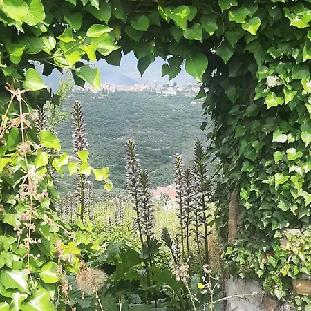 La Casetta Di Dora Nyaraló *