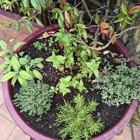 La Casetta Di Dora Nyaraló Chiusanico