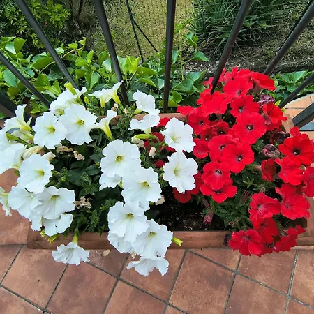 La Casetta Di Dora Chiusanico