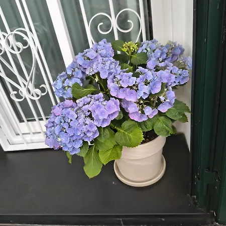 La Casetta Di Dora בית נופש Chiusanico